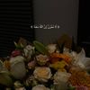 il9_aa