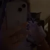 minnie.loves.cats