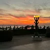 michaelp09