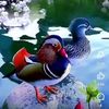 user9818194935566