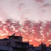 erjonamanellari1