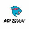 mrbeastsecrets6