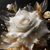 queenofwhiteroses7970