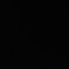 098_03.pau