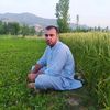 user80070385959845