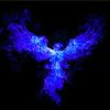 bluefyrephoenix