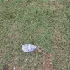 devonmurphy78