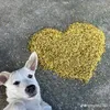 thichanbunrieu0410