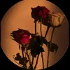 noor_khan786786