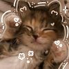 (\(°^°)/)amora_doçura(\(°^°)/)