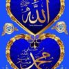 hindaia7