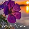 ismailelfatihi8
