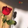 ayasamehsoliman