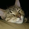 azl_893