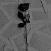 hade_01_02_25