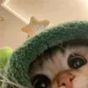 johntzyqt
