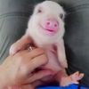 boopsbo0ps