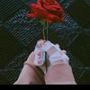 nora65128682970719
