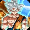 kakarotox80