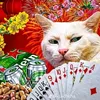 ru_katoo