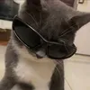 pyro.exp