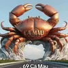 lacthanhcamaugmail.com2