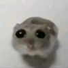 imwatchingyouat3am
