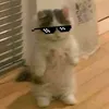 okenewonenewone