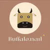 Buffalo nailbox