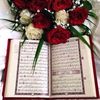 user31581561286105