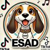 esad_the_coin_gamer