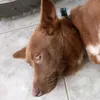 nguyntrnnhthuy5