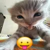 khoiivix