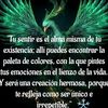 noegarcia8335