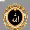 user8111699455441
