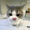 real_2ngmai