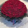 user9630765131847