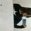 pp1licc