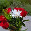 ayeshakanwal032