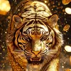 user8310023999024
