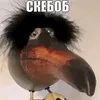 skebobik_123