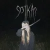sotka_aodzaki