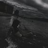 adelys.33