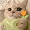 tnthinnguyntrn
