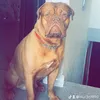 reggie_1990
