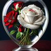 user4906281839854