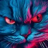 teampocaseulement