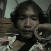 honghi66