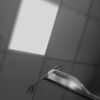 sharjeel_x7