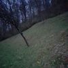ionel.iordache0